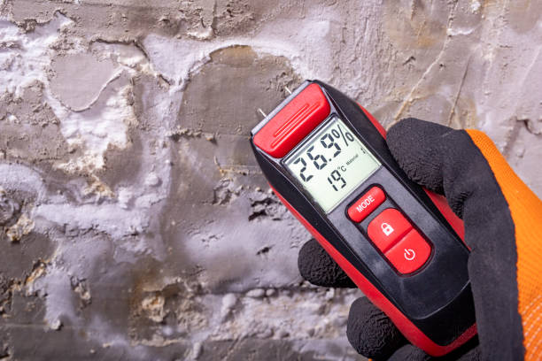 Best Insurance-Related Mold Remediation in Center Moriches, NY